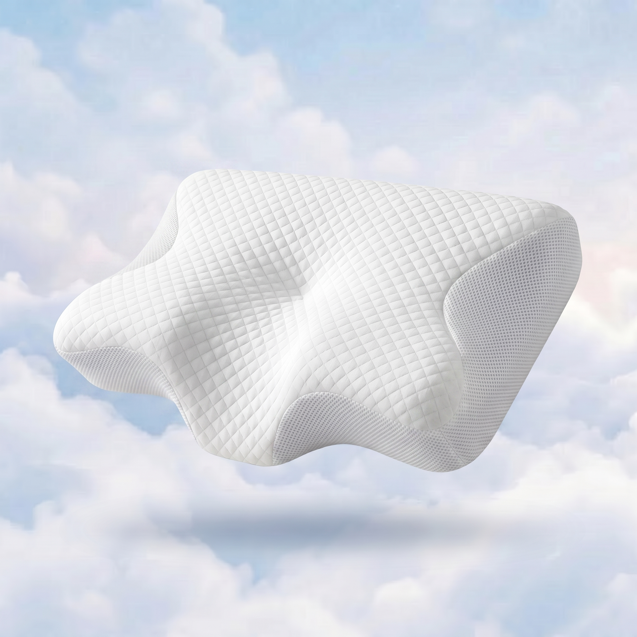 Arya Sleep Ergonomic Pro Pillow